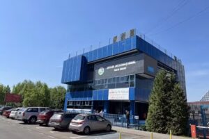 Școala Internațională Baia Mare