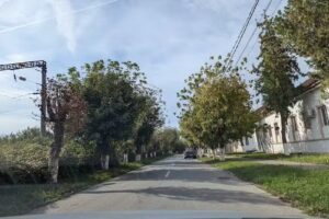 Școala Primară Călan