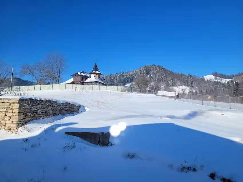 Școala Primară &bdquo;Calinic Argeșeanul&rdquo;