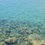 Scoala Primara Cioc&acirc;rlești