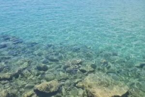 Scoala Primara Cioc&acirc;rlești