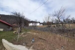 Școala Primară Cireșu