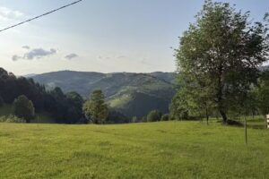 Școala Primară Dealu Goiești