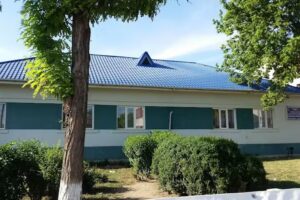 Școala primară din Frecăței