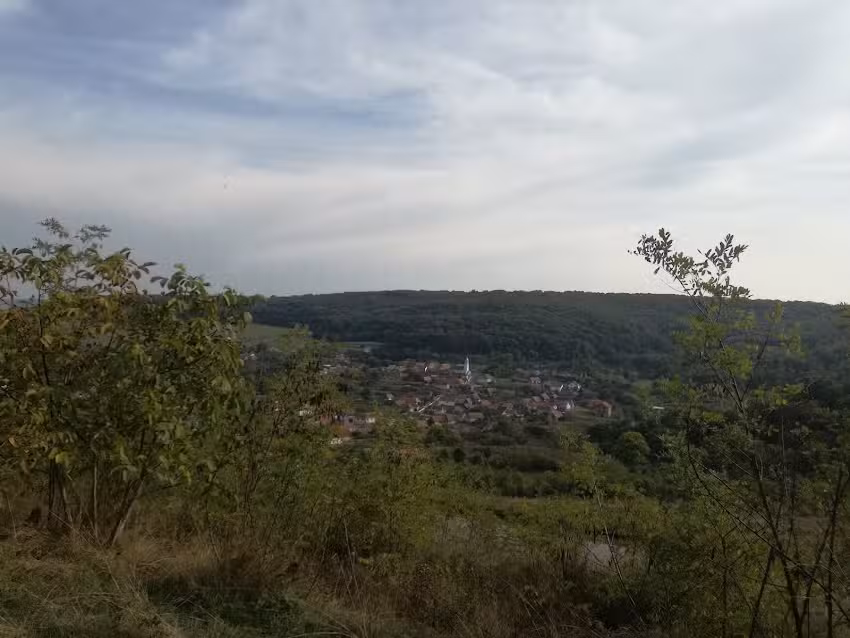 Școala Primară Hașag