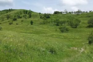 Școala Primară Mahriu, Vrancea