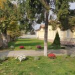 Scoala Primara (no 2)