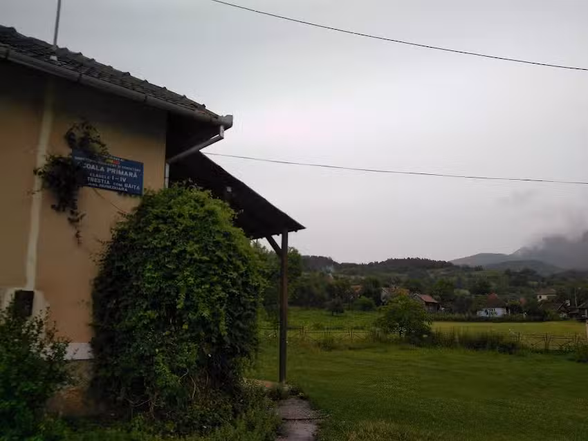 Școala Primară Trestia Băiţa HD