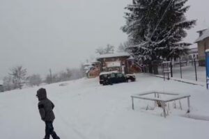 Scoala Primara Zarnesti