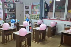 ȘCOALA SPERANȚA MACEA