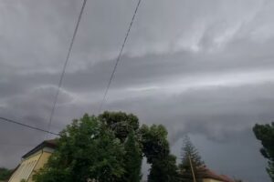 Școlară primara Țipar