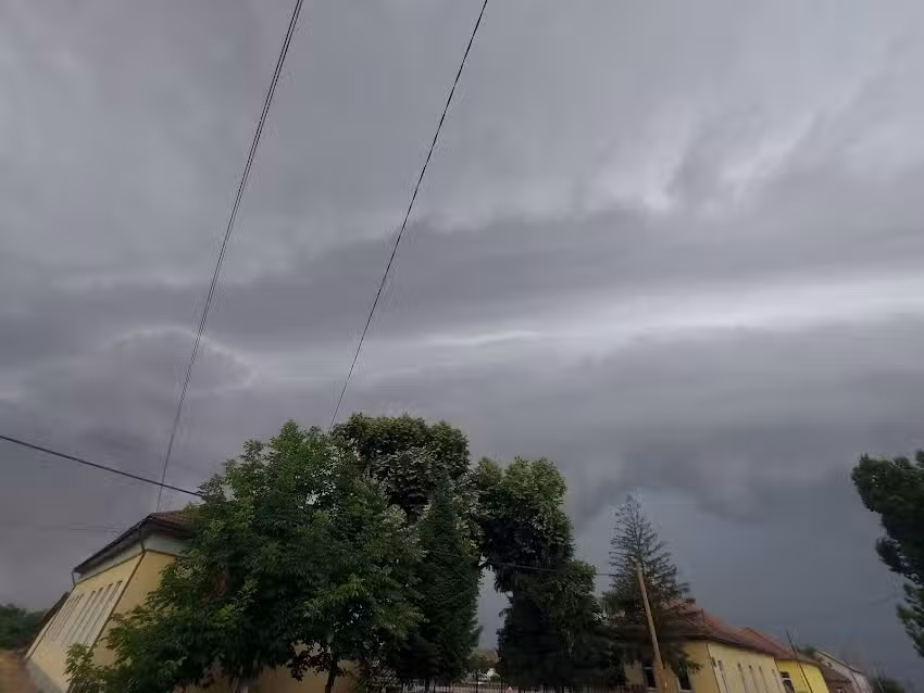 Școlară primara Țipar