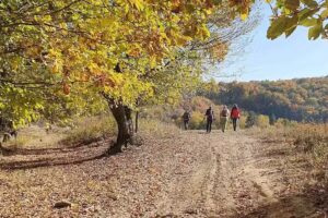 Vadasdi &Aacute;ltal&aacute;nos Iskola