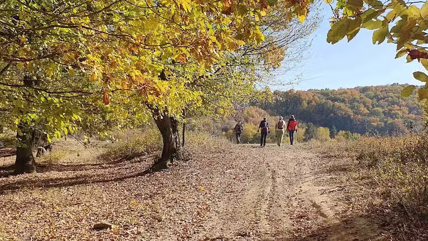 Vadasdi &Aacute;ltal&aacute;nos Iskola